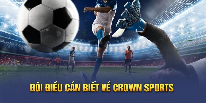 Tổng quan về các loại kèo phổ biến tại sảnh Crown Sports Kubet88