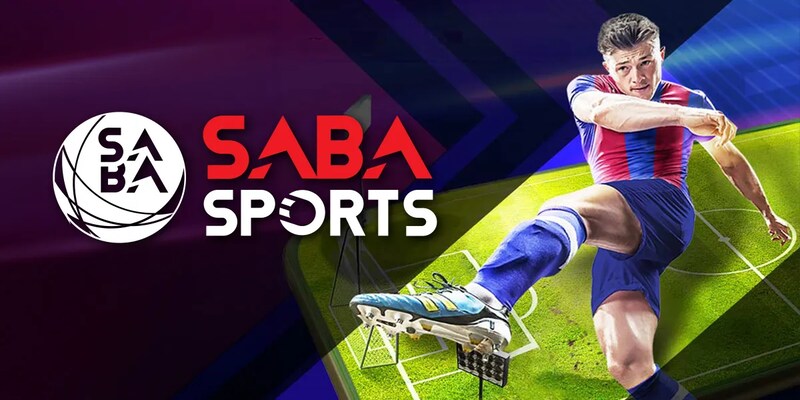 Cách chơi cá cược tại sảnh Sapa Sports Kubet88 