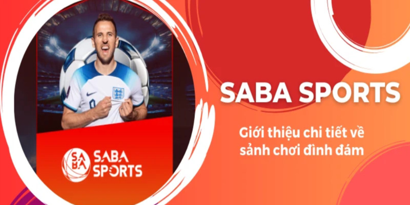 Top những mèo chơi cá cược tại sảnh Sapa Sports Kubet88 luôn thắng